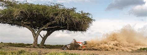 ¿Listo para sentir la adrenalina de la velocidad? ¡World Rally Championship 8 te espera!