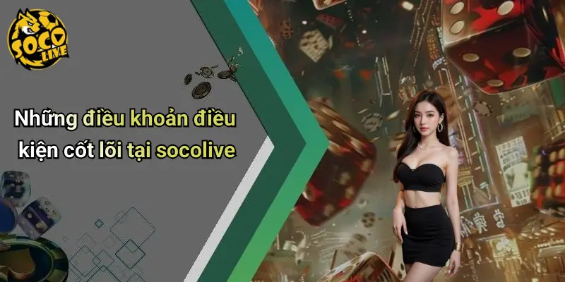điều khoản điều kiện 1 Điều Khoản Điều Kiện