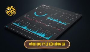 Cách đọc tỷ lệ kèo bóng đá