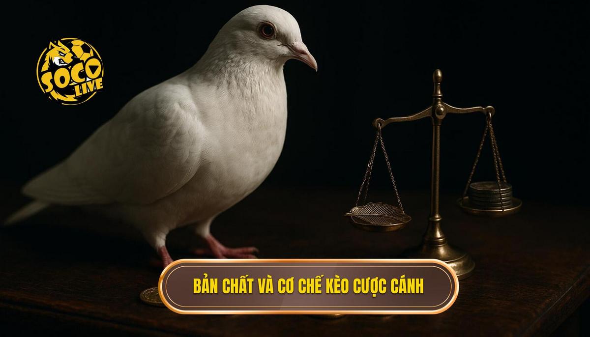 Phân Tích Chuyên Sâu Kèo cược đội ghi bàn từ tình huống phối hợp cánh 1 Bản Chất Và Cơ Chế Hoạt Động Của Kèo Cược Phối Hợp Cánh