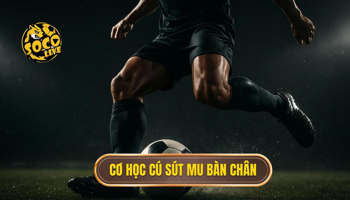 Nền Tảng Cơ Học Của Cú Sút Mu Bàn Chân