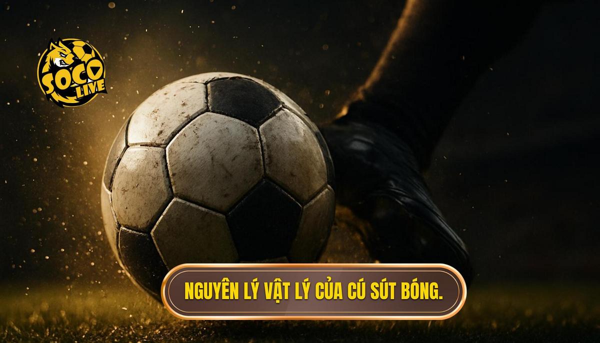 Nguyên lý vật lý tạo nên cú sút má ngoài thần thánh