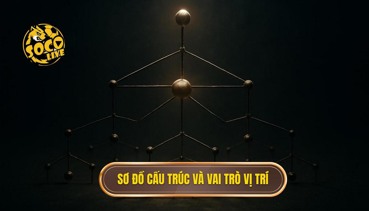 Chiến thuật bóng đá 3-3-3-1: Bí quyết làm chủ không gian và tấn công toàn diện 1 Sơ đồ cấu trúc và vai trò vị trí