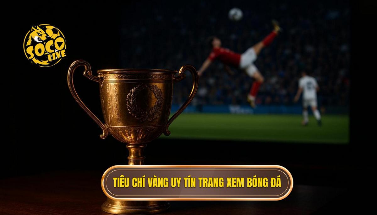 Phân tích các tiêu chí vàng tạo nên uy tín của top trang xem bóng đá socolive