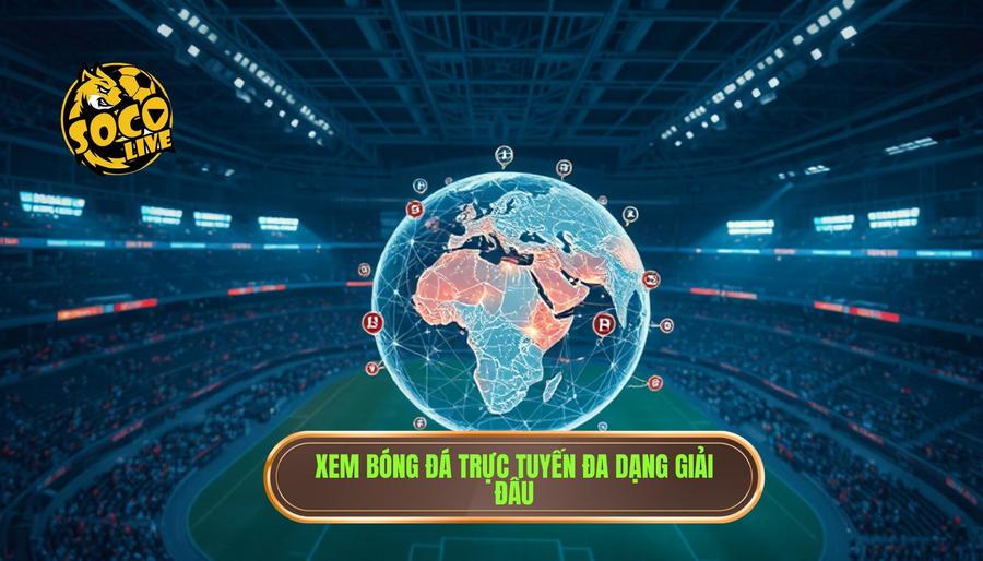 Độ phủ sóng giải đấu rộng khắp – Thế giới bóng đá trong tầm tay