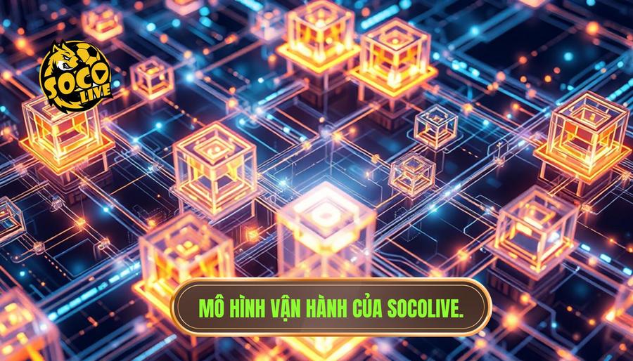 Phân tích đa chiều về mô hình vận hành của SOCOLIVE