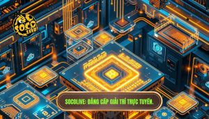 socolive hoạt động như thế nào?