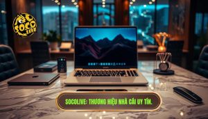 Socolive có uy tín không? Đánh giá chi tiết từ góc nhìn chuyên gia