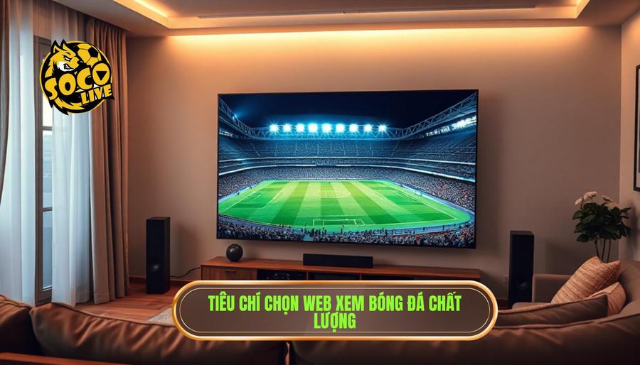 Tiêu chí đánh giá một địa chỉ xem trực tiếp bóng đá chất lượng