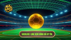 Link xem bóng đá trực tiếp hôm nay