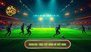 Trực tiếp bóng đá Việt Nam hôm nay
